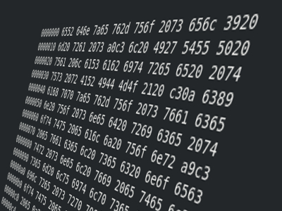 Pour "hacker" le Festival des Arts Numériques 2018, il va falloir bien plus qu'un simple hexdump !