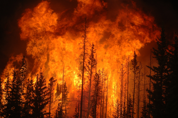 Un bon feu de sapin, ou comment terminer l'année en beauté en criant "J'ai la bûche en feu !"