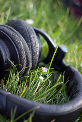 Piou piou dans les oreilles sur Ondes Sensibles !